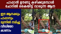 Elephant shares meals with caretaker ; viral video | Oneindia Malayalam