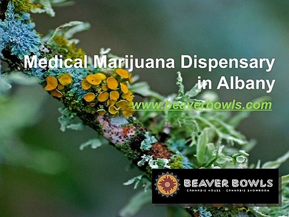 Medical Marijuana Dispensary in Albany