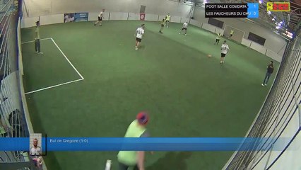 But de Gregoire (1-0) - FOOT SALLE COMDATA Vs LES FAUCHEURS DU CHU - 20/01/20 20:00 - LIGUE 3