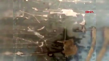 Gaziantep'te 'kaçak sigara' operasyonu: 3 gözaltı