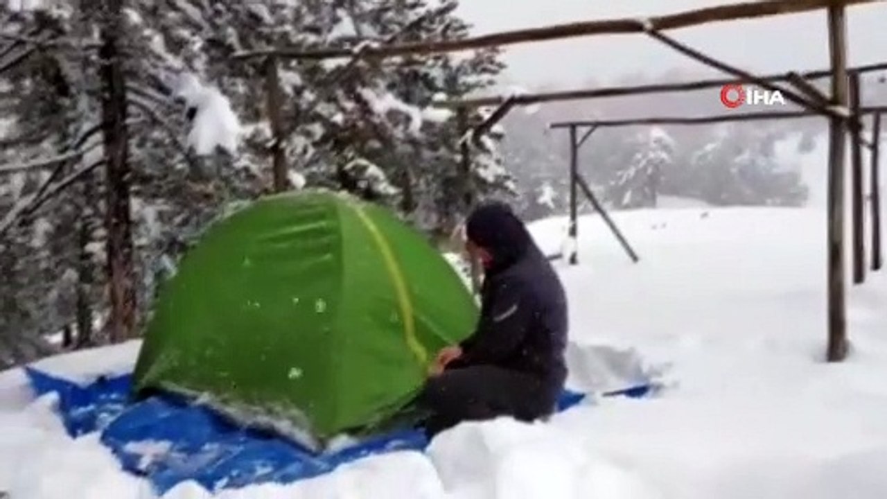 Ağaçlar zarar görmesin diye üzerine yağan karı temizleyip doğaya sahip çıkıyor