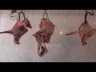 Seminari për sëmundjet e kafshëve - (13 Prill 2000)