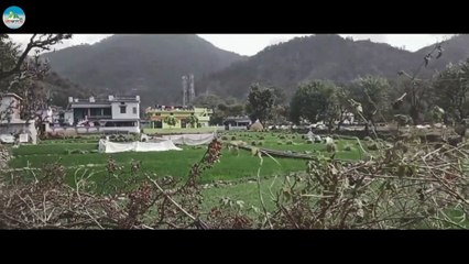 A Day in Dehradun (एक दिन देहरादून में), Subhash Rawat