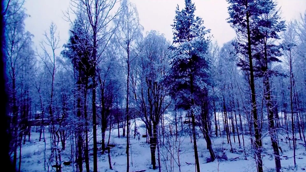 Dec 25 2019 DL10