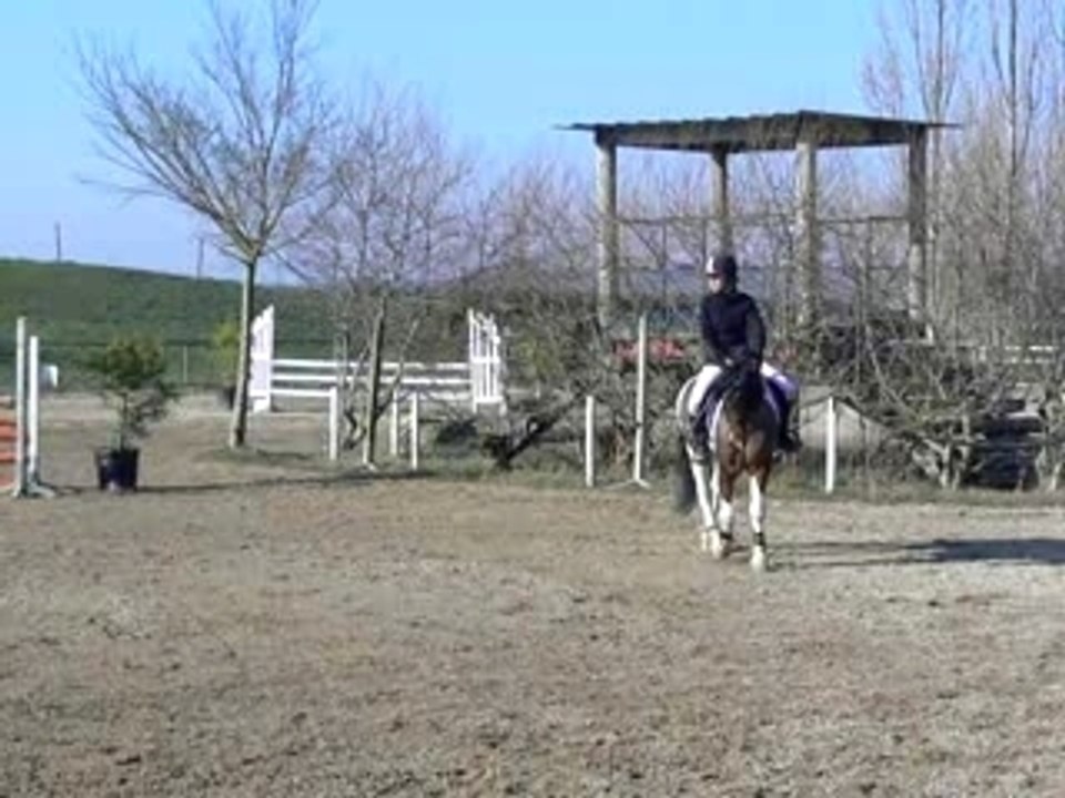 10-02 POD4 à Guérande - Must de la Nive