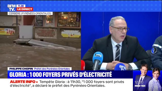 Tempête Gloria: le préfet des Pyrénées-Orientales déclare que 1000 foyers sont privés d'électricité à 11h30