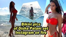 Bikini pics of Disha Patani set Instagram on fire