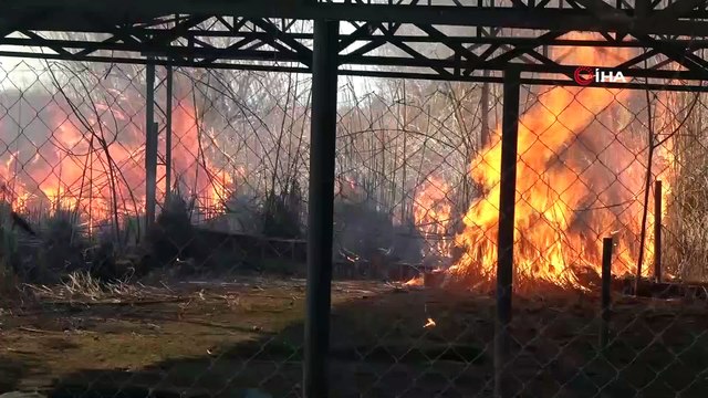 Sazlık yangınında bazı evler tedbir amaçlı tahliye edildi