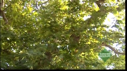 Hikayesiyle ağlatıyor! Ziyaretçi akınına uğruyor