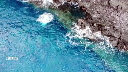 La Réunion : Cliff Jumpers