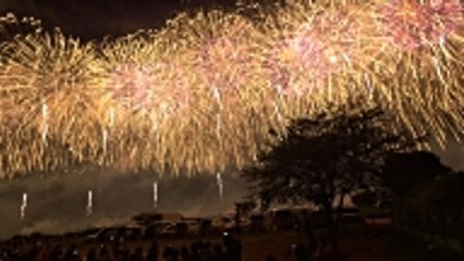 Des feux d'artifice silencieux pour le bien-être des animaux en Italie !