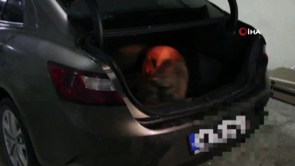 Bolu’da 10 kilo eroinle yakalanan 2 kişi adliyeye sevk edildi