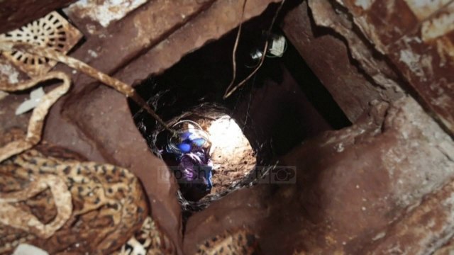 Kartele droge dhe armësh/ Arratisen rreth 80 kriminelë të rrezikshëm, hapën tunel në burg