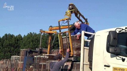 Operation Save the Bees Begins in Australia