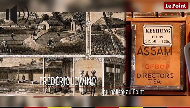 10 janvier 1839 : le jour où la première vente aux enchères de thé a lieu à Londres