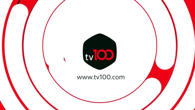 Patileri donan kediye dört protez pati takıldı