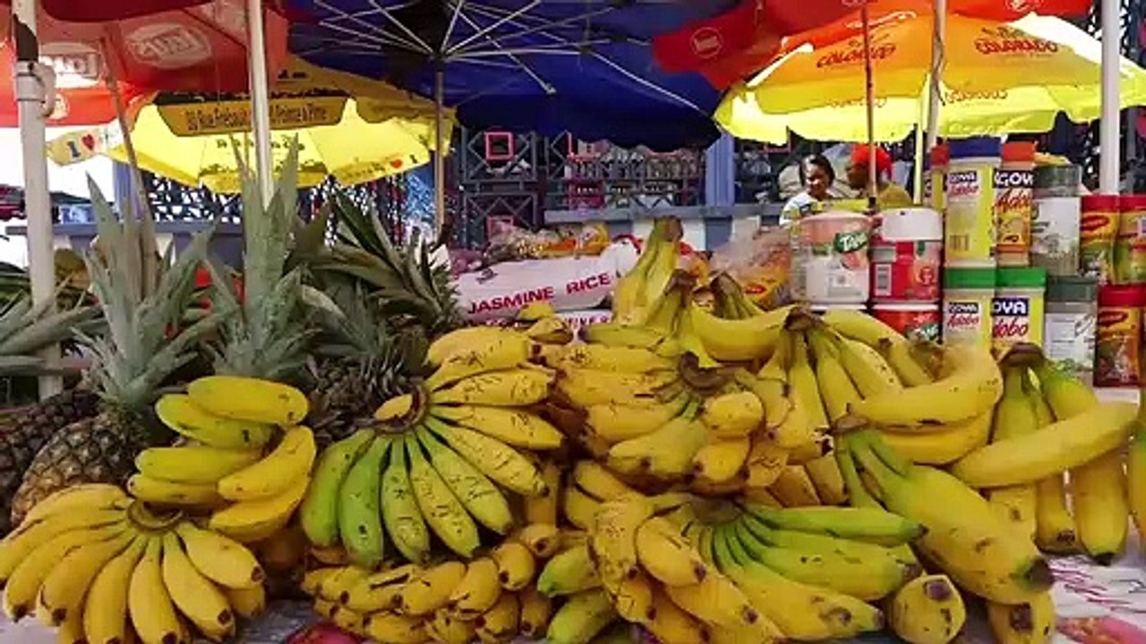 Le Salon de la Gastronomie des Outre-Mer et de la Francophonie, porté par Babette de Rozières, se déroulera du 31 janvier au 2 février à Paris - VIDEO