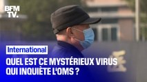 Quel est ce mystérieux virus chinois qui inquiète l'OMS ?