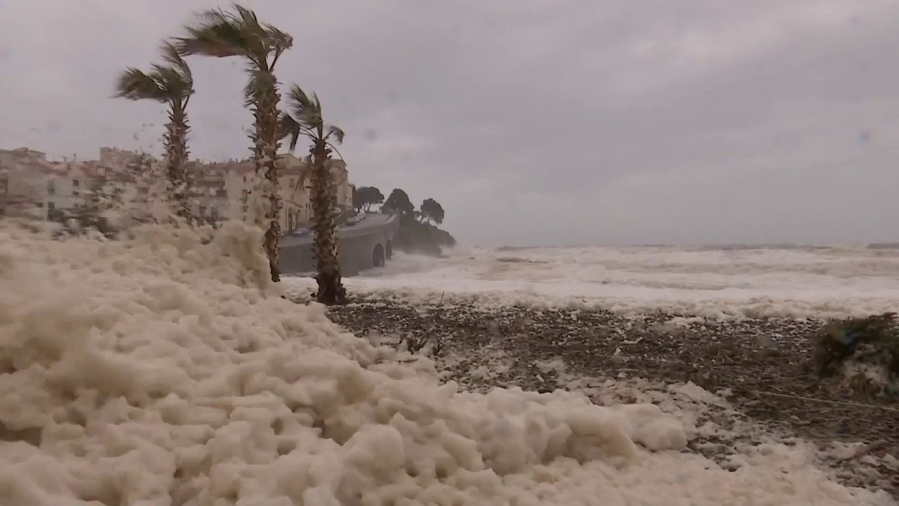 Tempête Gloria: les images étonnantes de l’écume de mer qui a envahi la plage de Banyuls-sur-mer