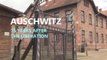 Holocaust survivors share horror 75 years after liberation of Auschwitz