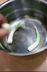 Un labrador s'offre en sacrifice à la place d'un chiot