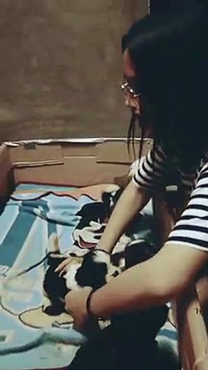 Des chiots reçoivent beaucoup d'amour et de bisous avant de dormir