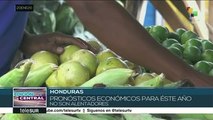 Honduras: pérdida de las cosechas aumenta migración en zonas rurales