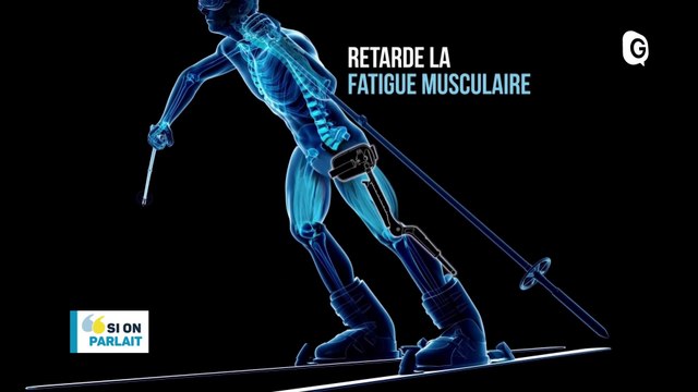 Telemark, ski augmenté et comptage des oiseaux - 21 JANVIER 2020