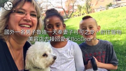 CollectionVideo-petmao_curation-copy4-PetsMaoParser-2020/01/21-09:30