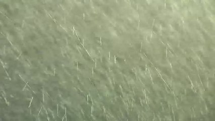 El Barça se ejercita bajo los rigores de Gloria