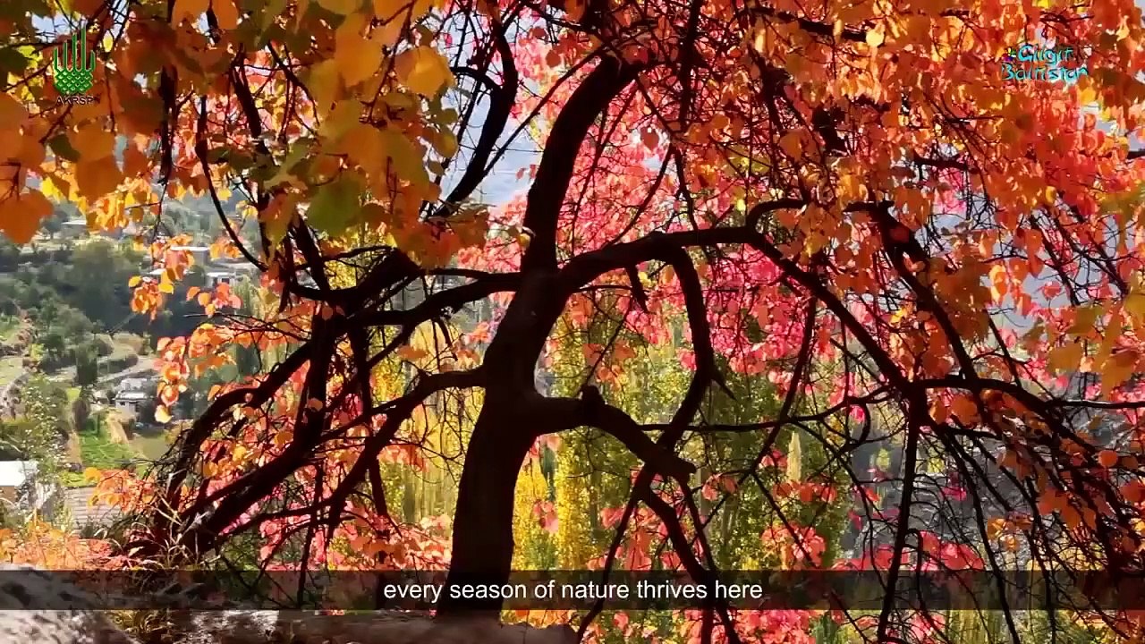 Inside the Real Pakistan Gilgit Baltistan  Jewel of Pakistan