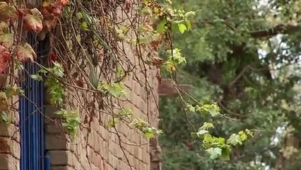 Haq's Musings- Rasoolpur- A Model Village in Pakistan With 100% Literacy and No Crimes