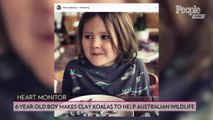 6-Year-Old Boy's Clay Koalas Have Raised Over $51K for Australian Fire Relief