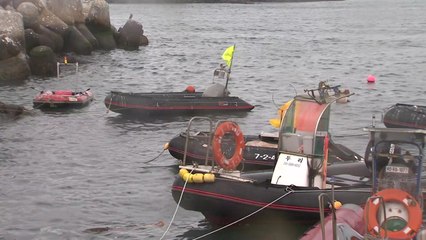 [날씨] 충청 이남 지역 겨울비...예년보다 온화 / YTN