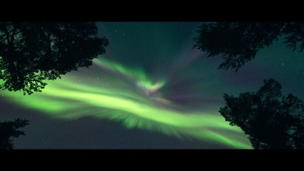 Pearl Jam - Dance Of The Clairvoyants