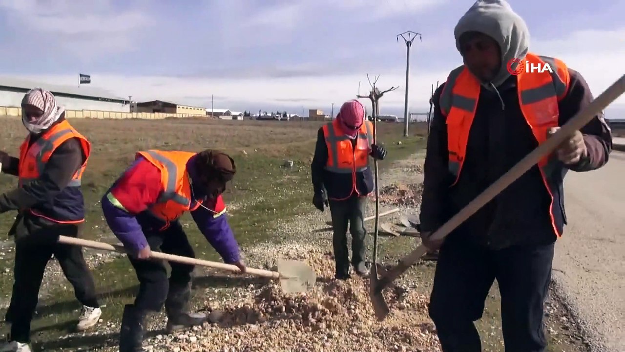 - Suriye’nin kuzeyi Barış Pınarı ile yeşilleniyor- Suriye tarafındaki gümrük kapısı yolu ağaçlandırılıyor