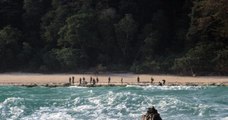 North Sentinel Island : voici pourquoi cette île est la plus dangereuse au monde