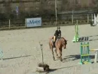 ESPERITO 2004 stallion by espri / Clinton