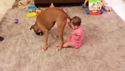 Cute Babies and Dogs are Best Friends