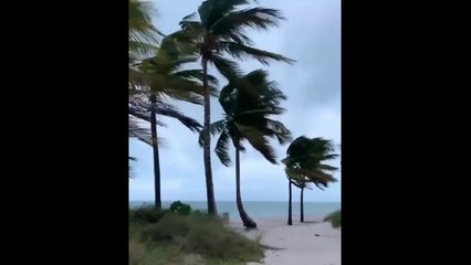 Millie Bobby Brown - Fighting with Coconuts