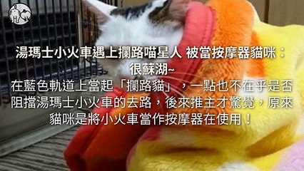 CollectionVideo-petmao_curation-copy3-PetsMaoParser-2020/01/22-09:30