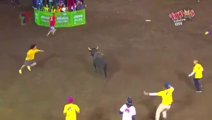 Bull fights with the same person