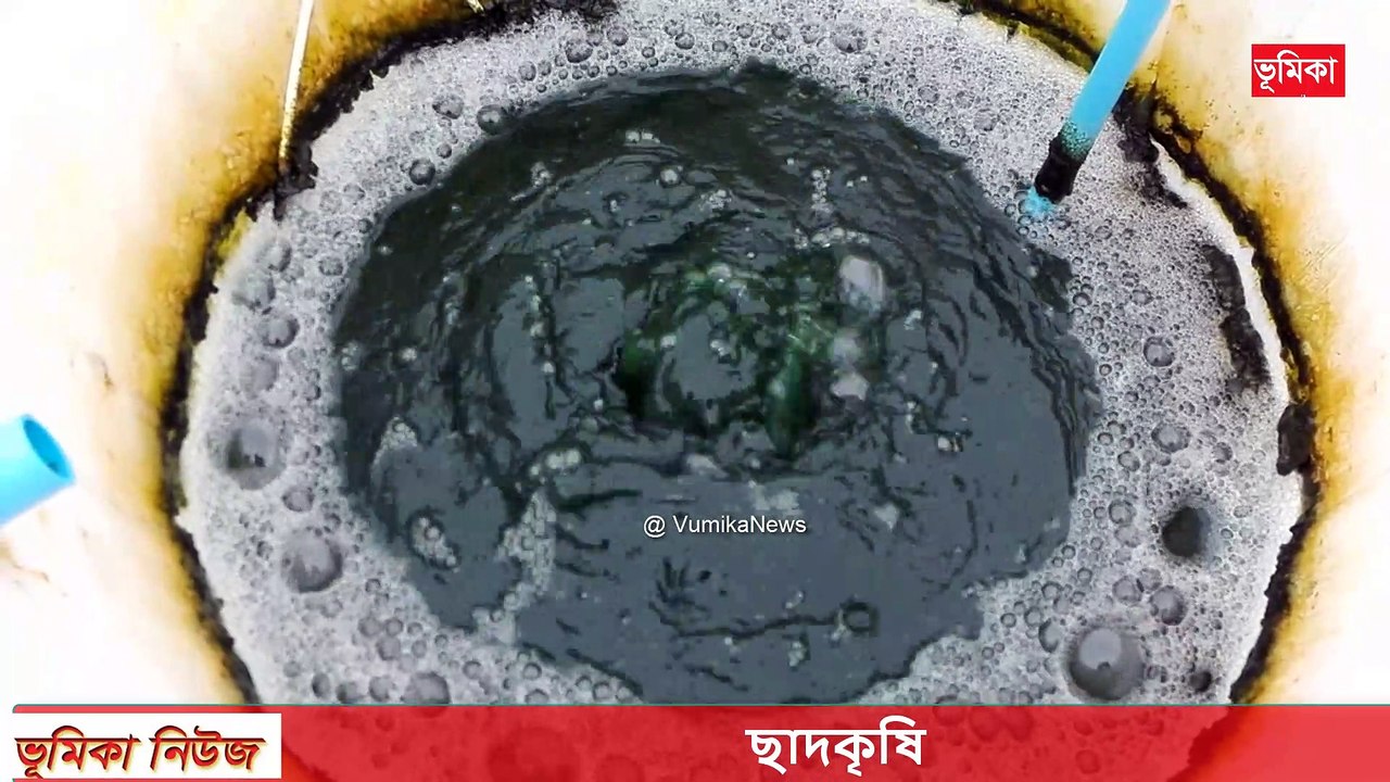 Rooftop Garden Rooftop farming Roof Gardening ছাদকৃষি