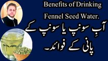 Benefits of Fennel Seeds water. Abe sonf ke fayde  Ya Sounf ke Pani ke fayde By M younas in urdu/Hindi.