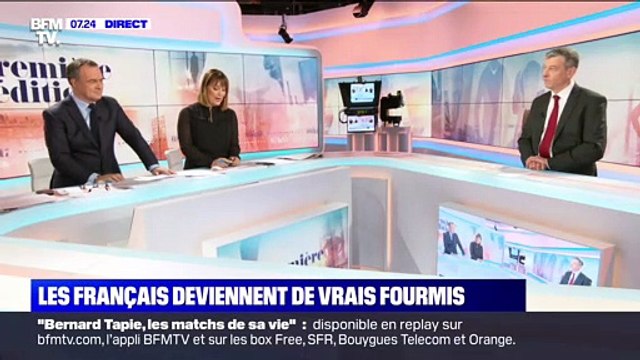 Les Français deviennent de vrais fourmis - 22/01