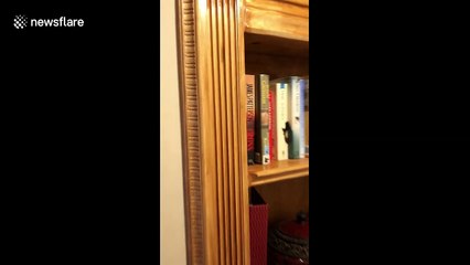 US man creates secret 'man cave' behind fake bookshelf