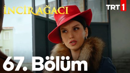 İncir Ağacı 67. Bölüm