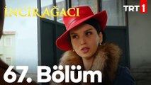 İncir Ağacı 67. Bölüm