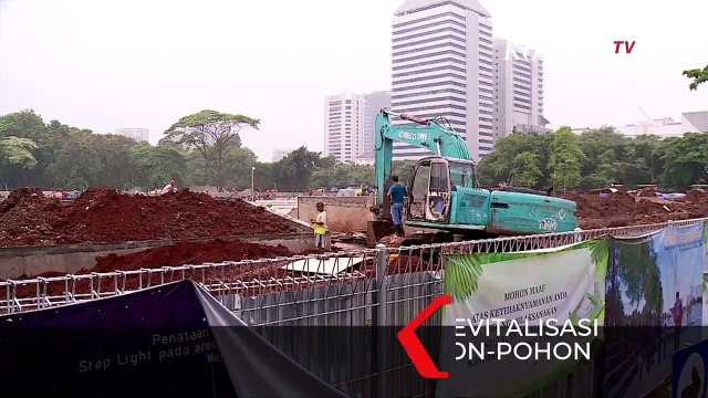 Nasib Pohon di Monas: Puluhan Tahun Jadi \ Paru-paru\ Jakarta, Kini Ditebang di Era Anies Baswedan