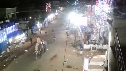 ഇടഞ്ഞ ആനയുടെ അടുത്ത് പോയാൽ ഇങ്ങനെ ഉണ്ടാകും 1